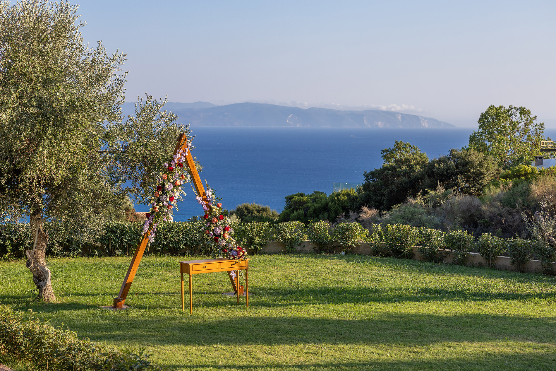 island_view_field